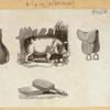 Animals and symbols.