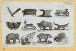 Animals and symbols.