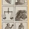 Animals and symbols.