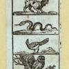 Illustrations for an alphabet book.