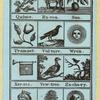 Illustrations for an alphabet book.