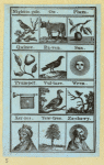 Illustrations for an alphabet book.