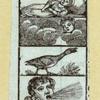 Illustrations for an alphabet book.