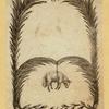 Pages with decorative borders featuring scrolling foliage, cartouches, floral garlands, and acanthus leaves.