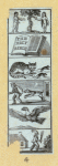 Pages with classical decorative borders featuring columns, floral garlands, scrolling foliage, and acanthus leaves; Biblical and allegorical scenes.