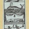 Pages with classical decorative borders featuring columns, floral garlands, scrolling foliage, and acanthus leaves; Biblical and allegorical scenes.