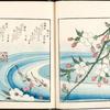 Earth: Cherry blossoms and trout