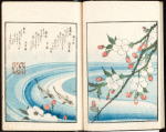 Earth: Cherry blossoms and trout
