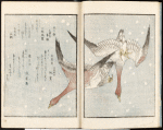 Heaven: geese in snow