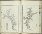 Kaishien gaden = The mustard seed garden painting manual.