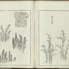 Kaishien gaden = The mustard seed garden painting manual.
