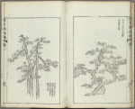 Kaishien gaden = The mustard seed garden painting manual.
