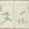 Kaishien gaden = The mustard seed garden painting manual.