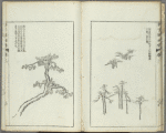 Kaishien gaden = The mustard seed garden painting manual.
