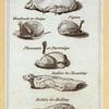 Illustrations of cuts of meat for a cookbook.