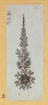 Classical decorative details.