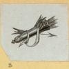 Symbols and allegorical images.