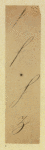 Engraved lettering examples, dingbats, and seals.