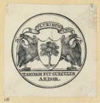 Business seals and letterheads featuring eagles.