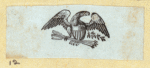 Patriotic imagery featuring eagles.