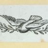 Eagles, doves, a vulture and a swan.