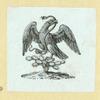 Eagles, doves, a vulture and a swan.