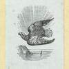 Eagles, doves, a vulture and a swan.