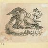 Eagles, doves, a vulture and a swan.