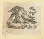 Eagles, doves, a vulture and a swan.