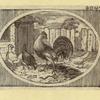 Eagles, ducks, chickens, and vultures.