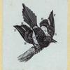 Various birds.