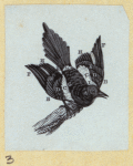 Various birds.