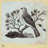 Various birds.
