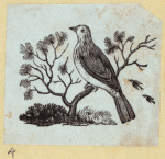 Various birds.