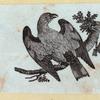 Various birds.
