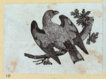 Various birds.