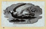 Various birds.