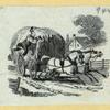 Farms in nineteenth-century America.