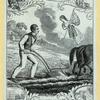 Farms in nineteenth-century America.