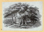Country estates.