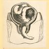 Illustrations of women's anatomy; conjoined twins, and a church.