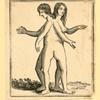 Illustrations of women's anatomy; conjoined twins, and a church.