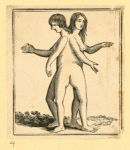 Illustrations of women's anatomy; conjoined twins, and a church.