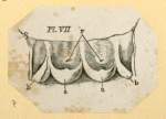Illustrations of women's anatomy; conjoined twins, and a church.