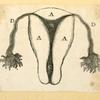 Illustrations of human anatomy.