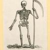 Illustrations of human anatomy.