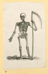 Illustrations of human anatomy.