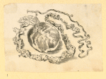 Illustrations of human anatomy.