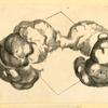 Illustrations of human anatomy.