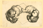 Illustrations of human anatomy.